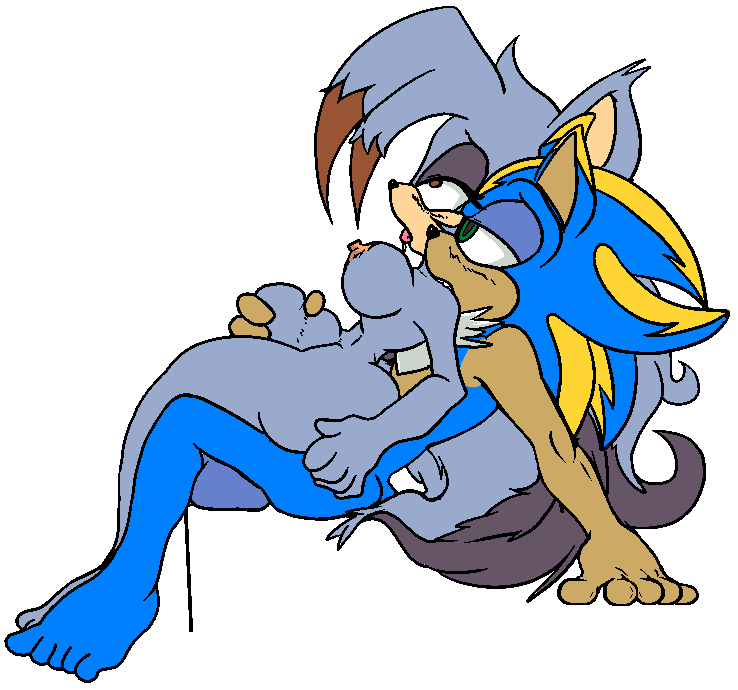 Original Character (Sonic (Series)) Rule 34 Image