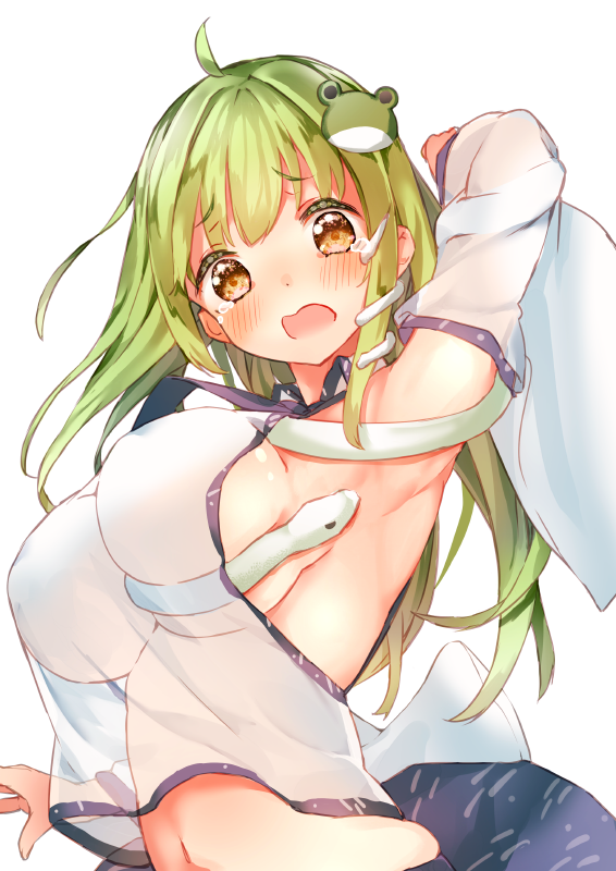 Sanae Kochiya (Touhou) Rule 34 Image