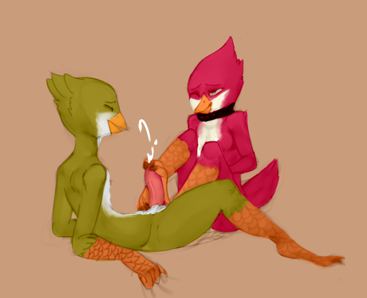 Avian (Starbound) Rule 34 Image