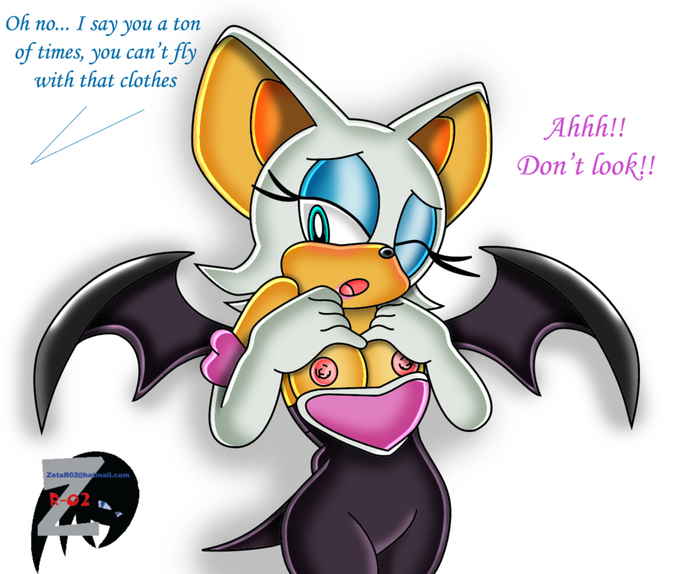 Rouge The Bat (Sega) Rule 34 Image