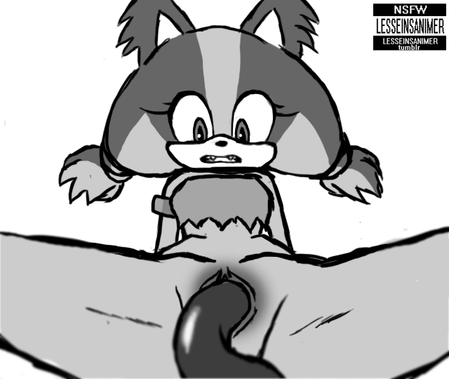Sticks The Badger (Sega) Rule 34 Image