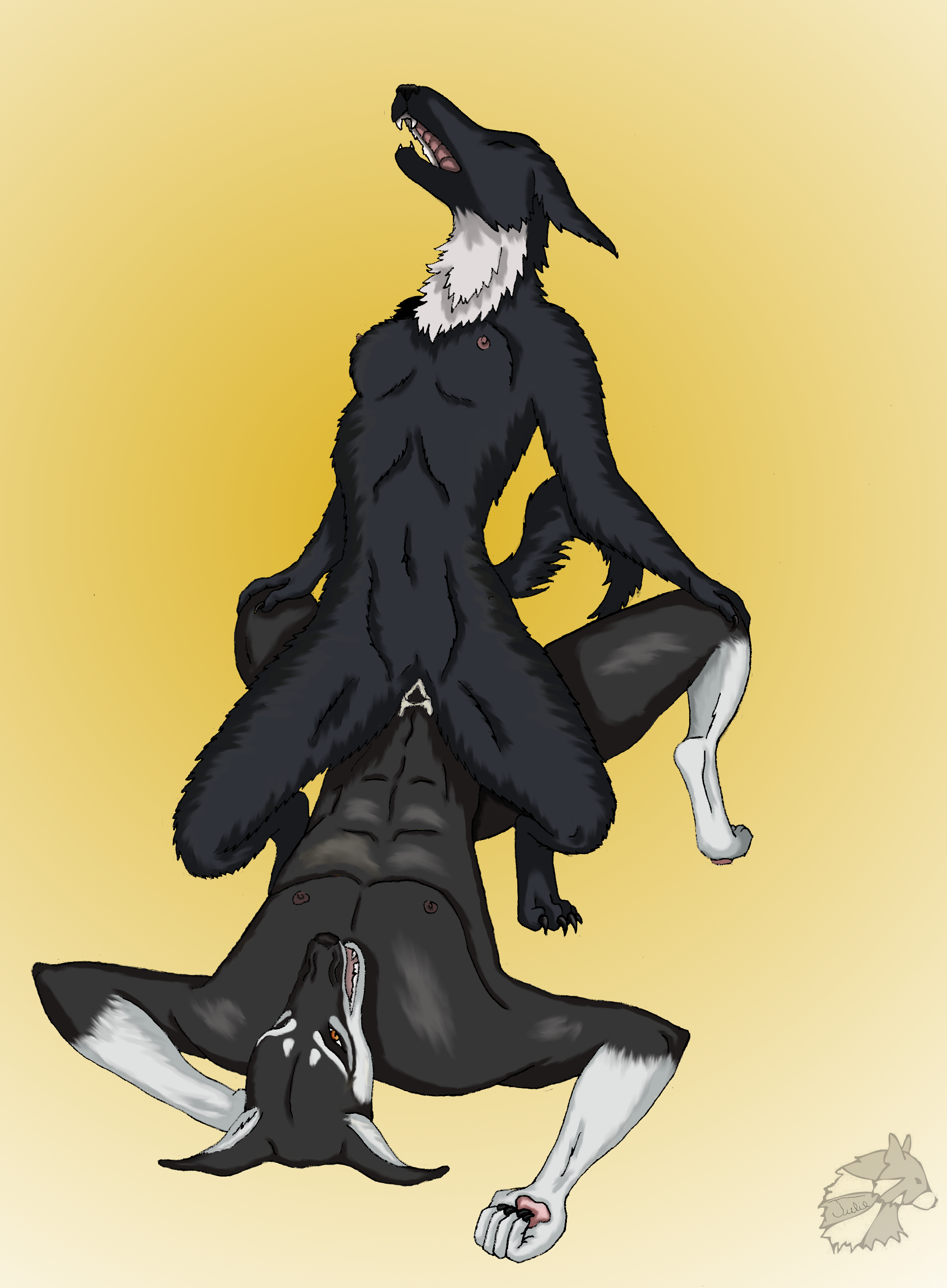 Absurd Res Rule 34 Image