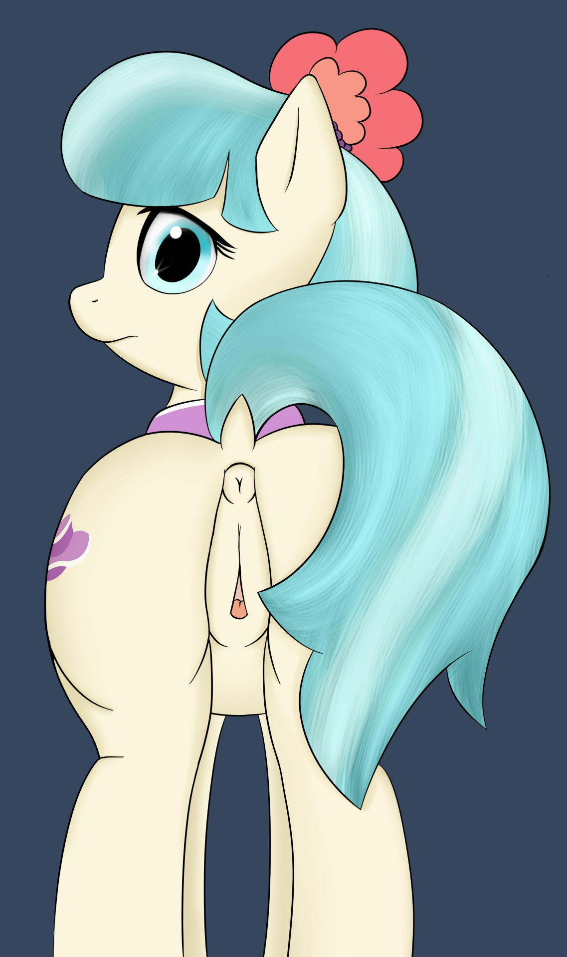 Coco Pommel (Friendship Is Magic) Rule 34 Image