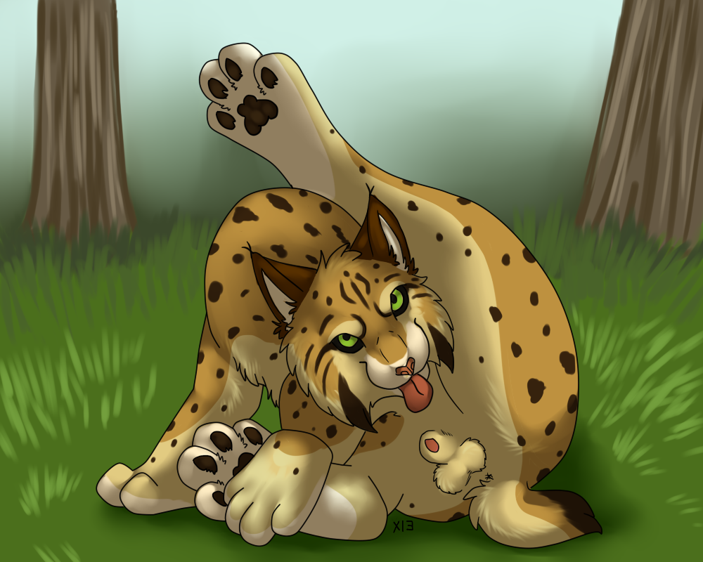 Animal Genitalia Rule 34 Image
