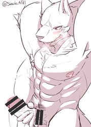 Abs Rule 34 Image