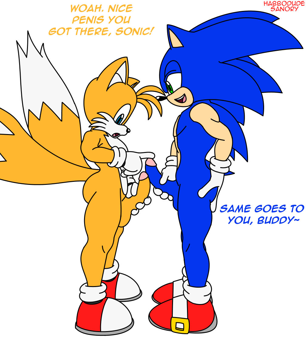 Sonic The Hedgehog (Sonic (Series)) Rule 34 Image