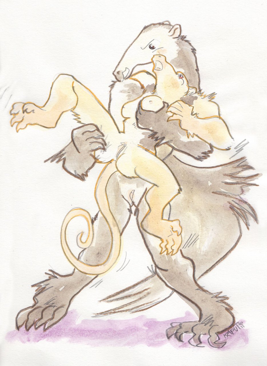 Anteater Rule 34 Image