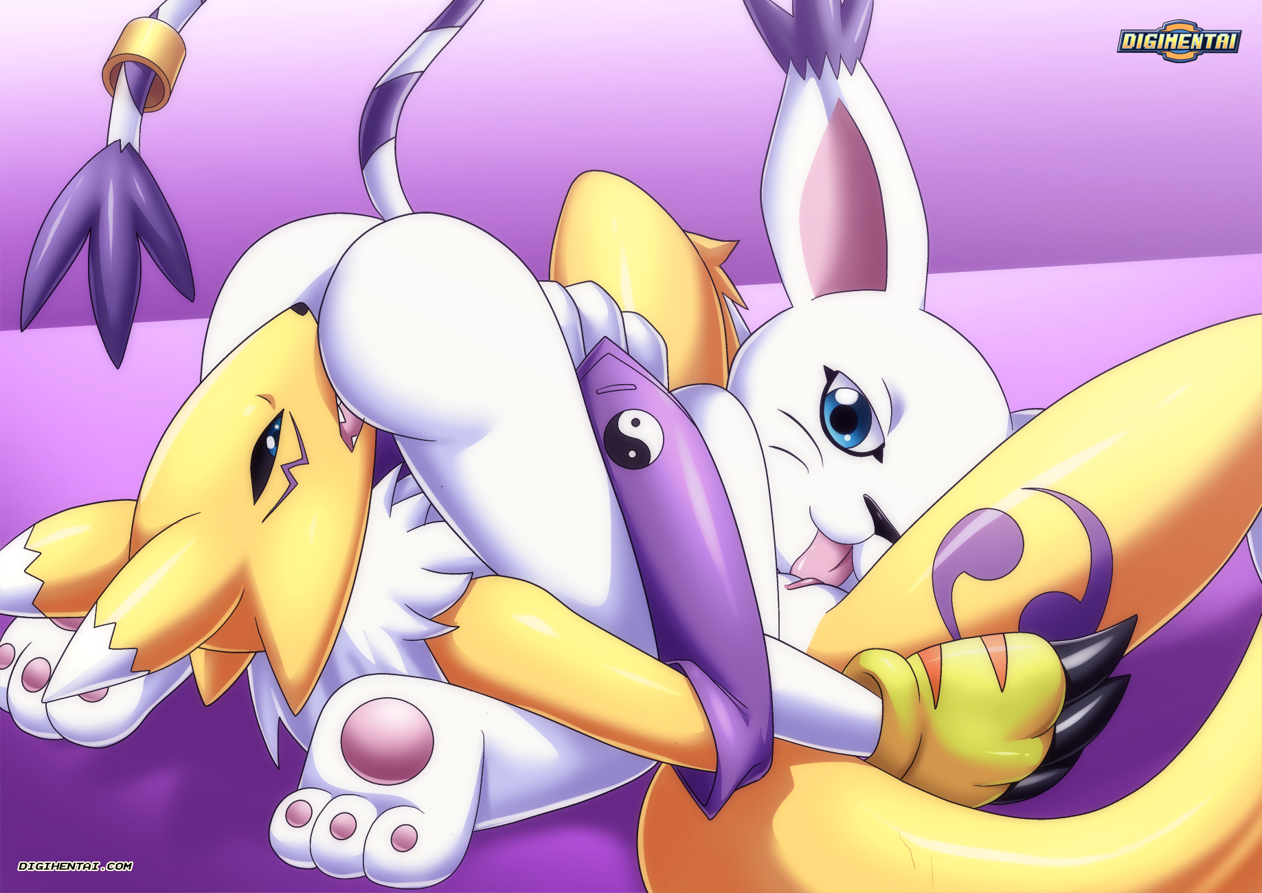 Gatomon (Digimon) Rule 34 Image