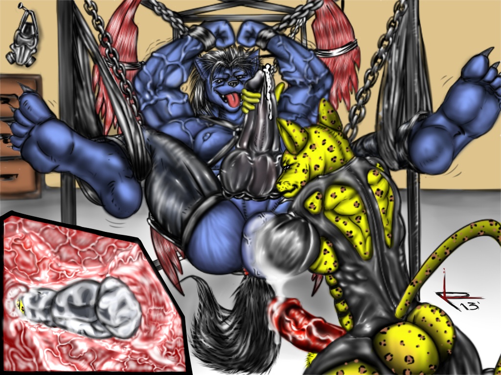 Animal Genitalia Rule 34 Image