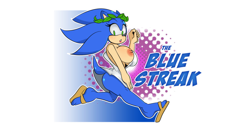 Sonic The Hedgehog (Sonic (Series)) Rule 34 Image