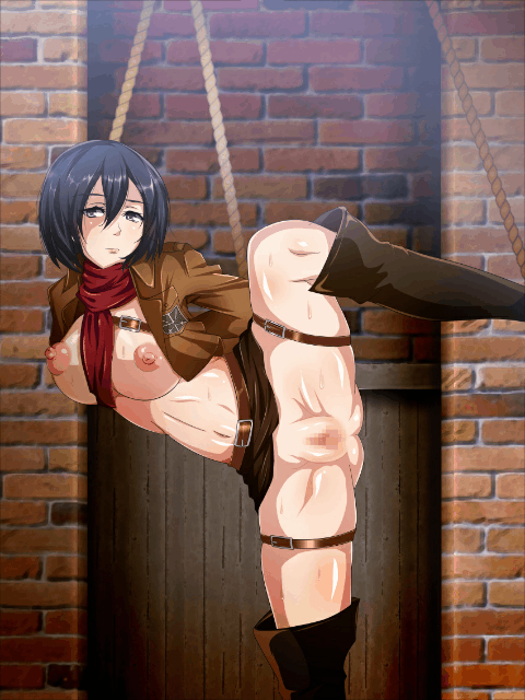 Mikasa Ackerman (Attack On Titan) Rule 34 Image