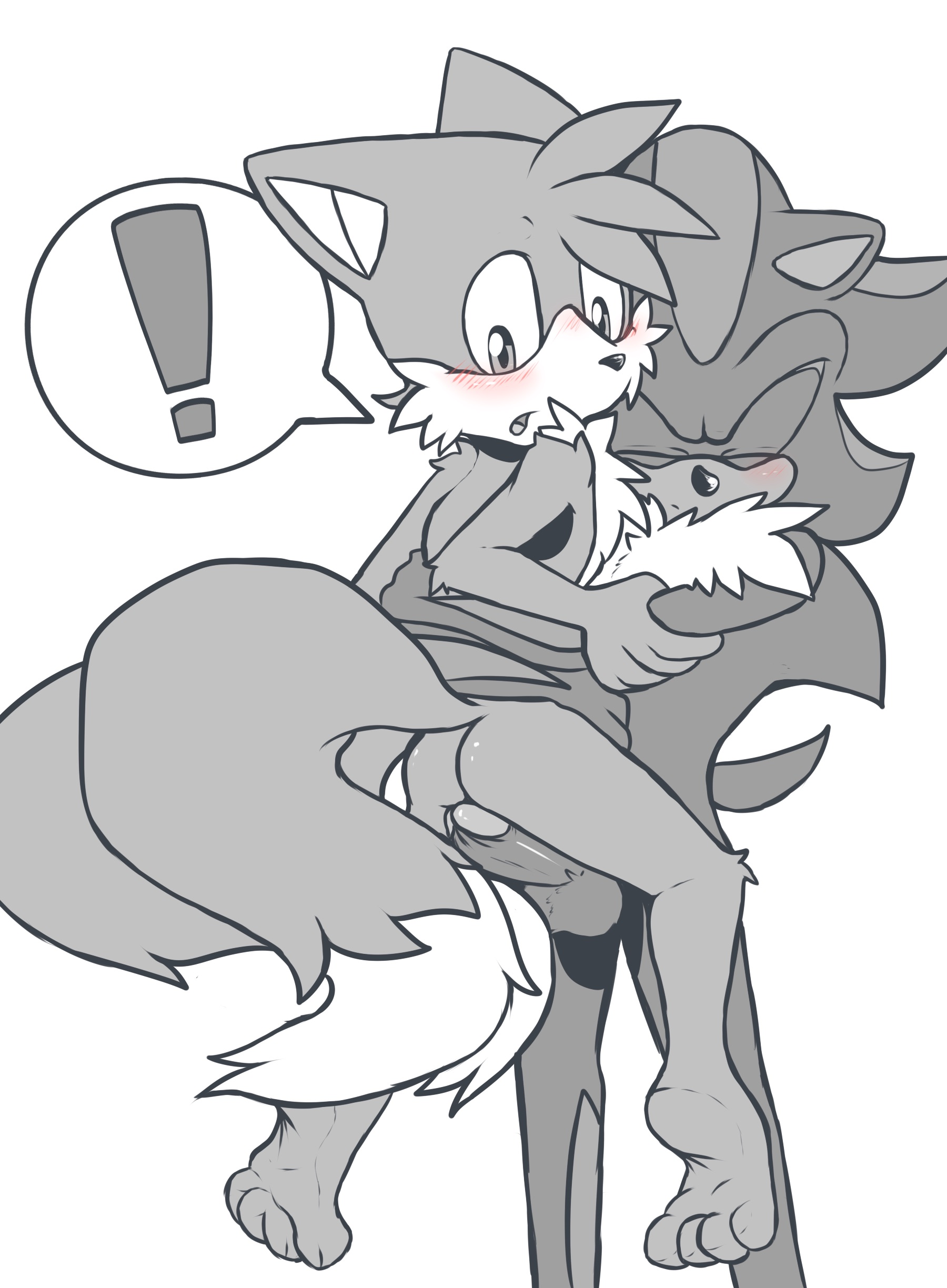 Sonic (Series) Rule 34 Image