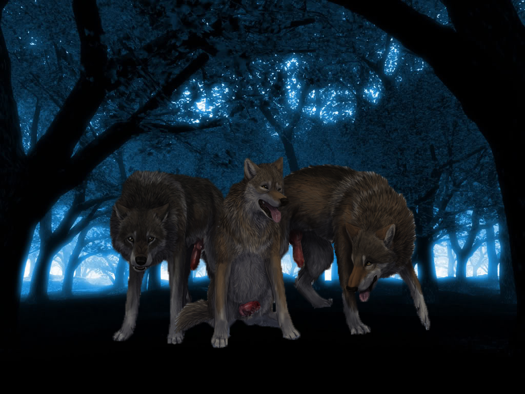 Canine Rule 34 Image