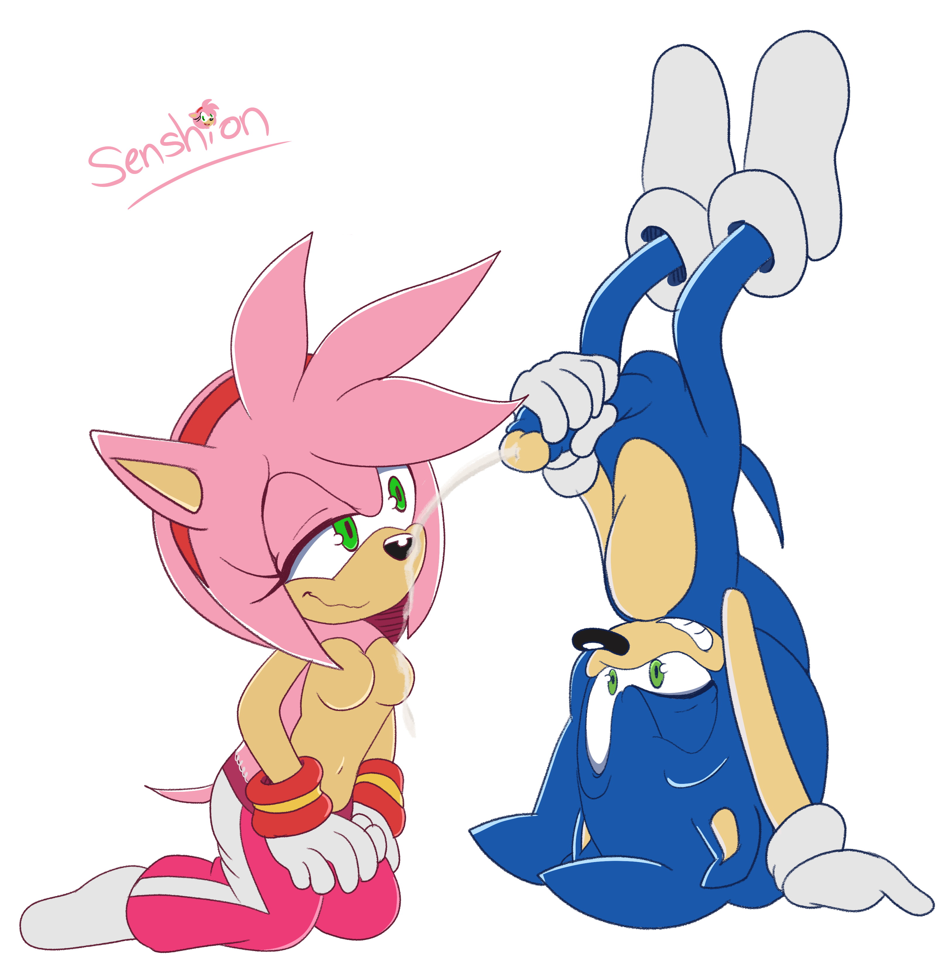 Amy Rose (Sonic (Series)) Rule 34 Image