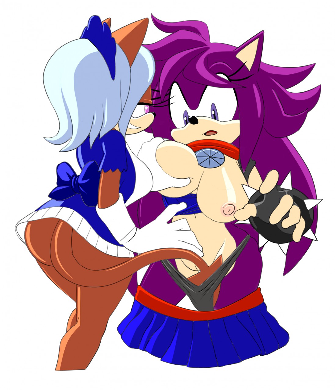 Fan Character (Sonic (Series)) Rule 34 Image