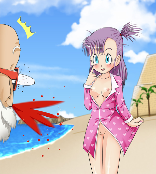 Bulma Briefs (Dragon Ball) Rule 34 Image