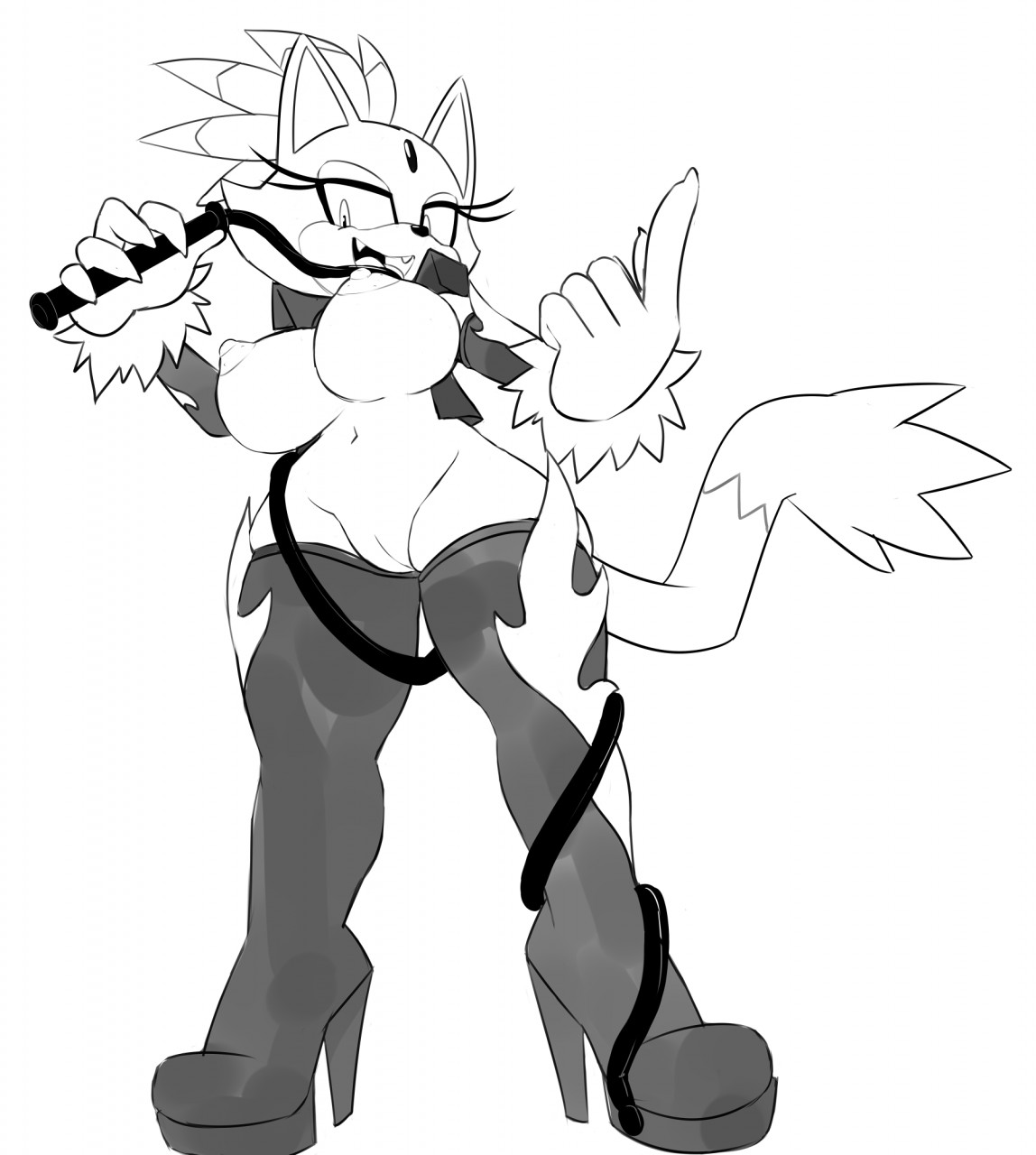 Blaze The Cat (Sonic (Series)) Rule 34 Image