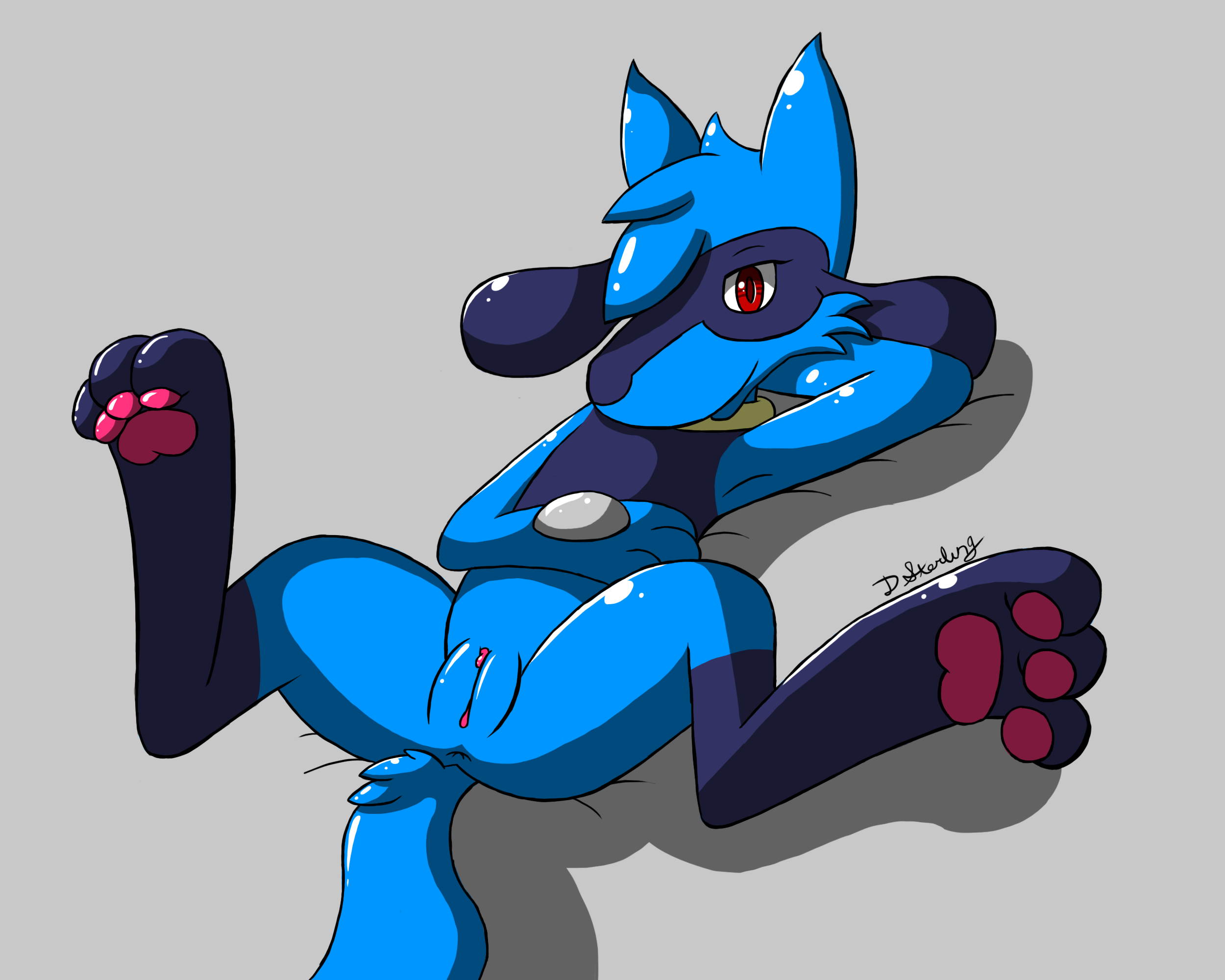 Riolu (Nintendo) Rule 34 Image