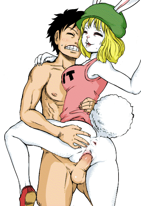 Carrot (One Piece) Rule 34 Image