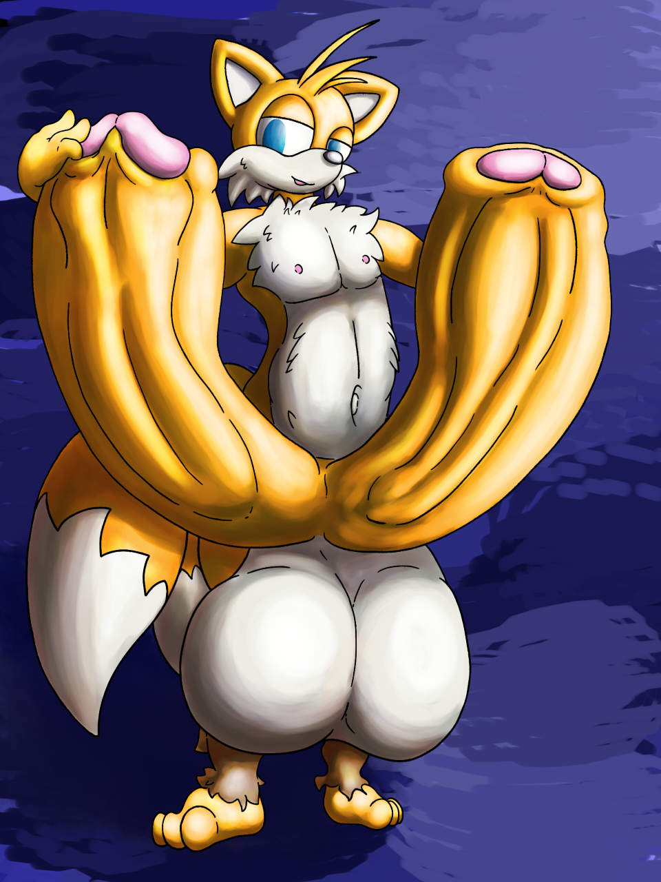 Tails The Fox (Sonic (Series)) Rule 34 Image