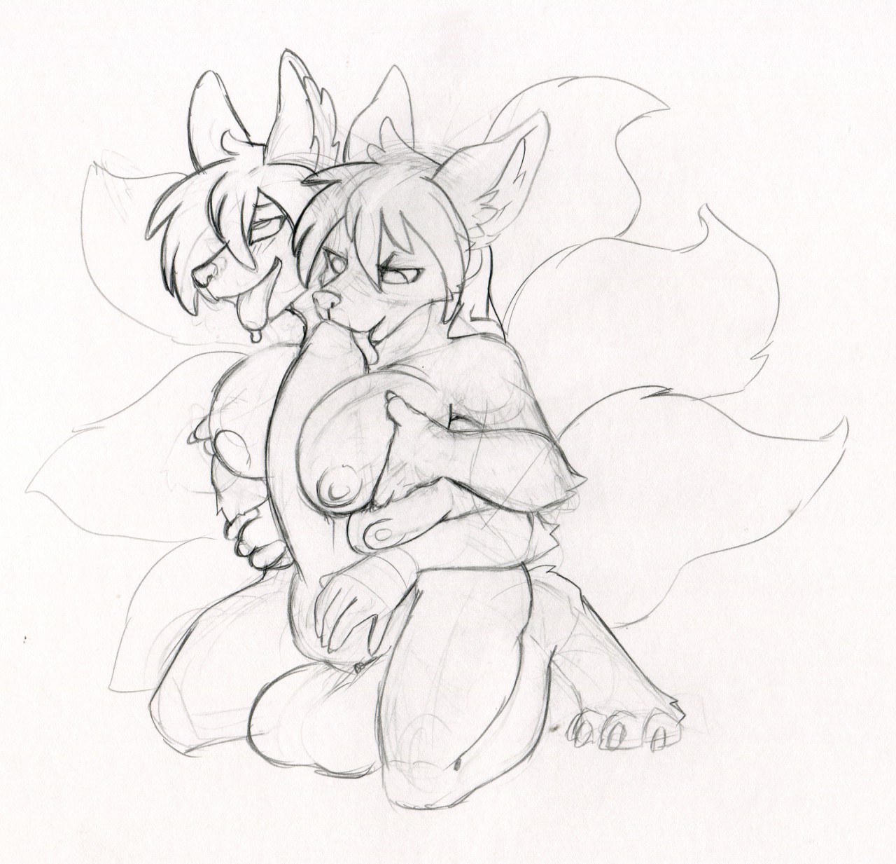 Animal Genitalia Rule 34 Image