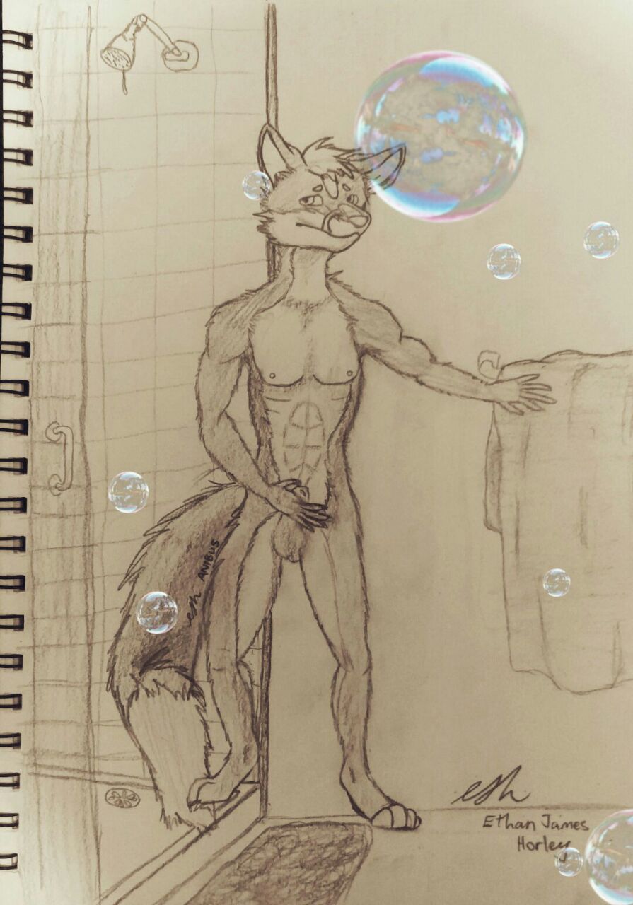 Anibus Rule 34 Image