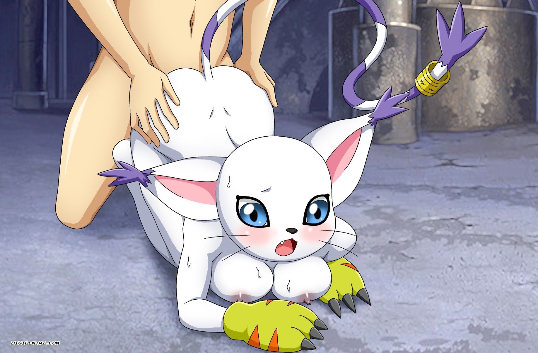 Gatomon (Digimon) Rule 34 Image