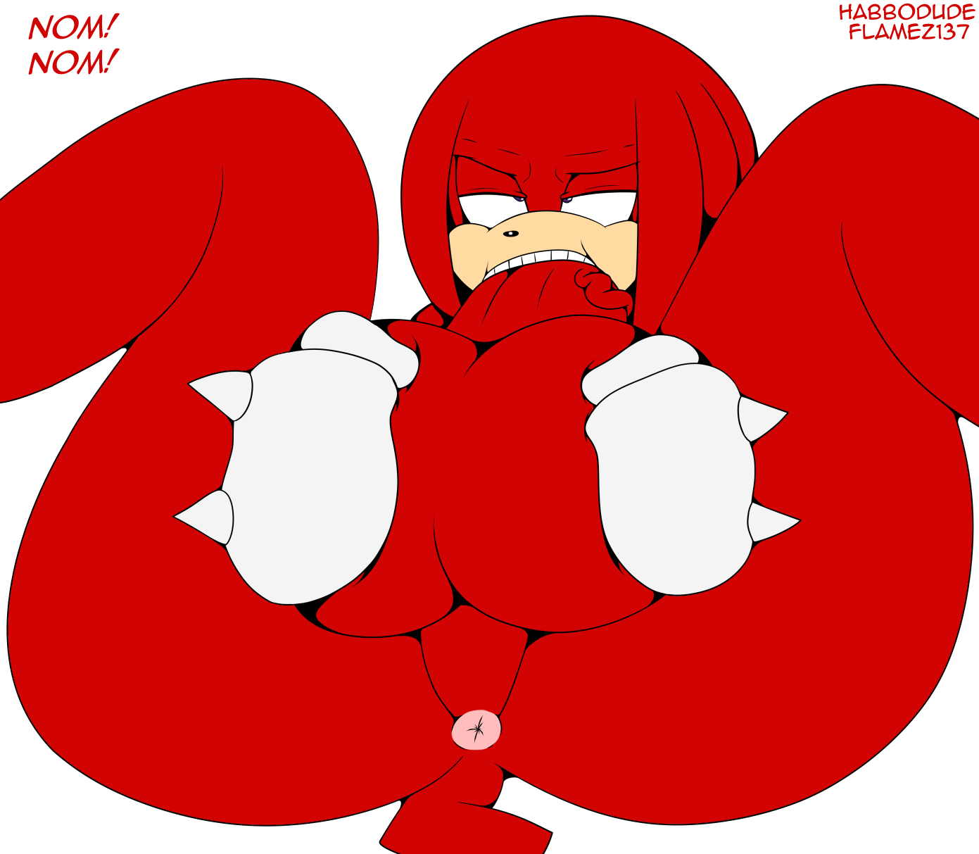 Knuckles The Echidna (Sonic (Series)) Rule 34 Image