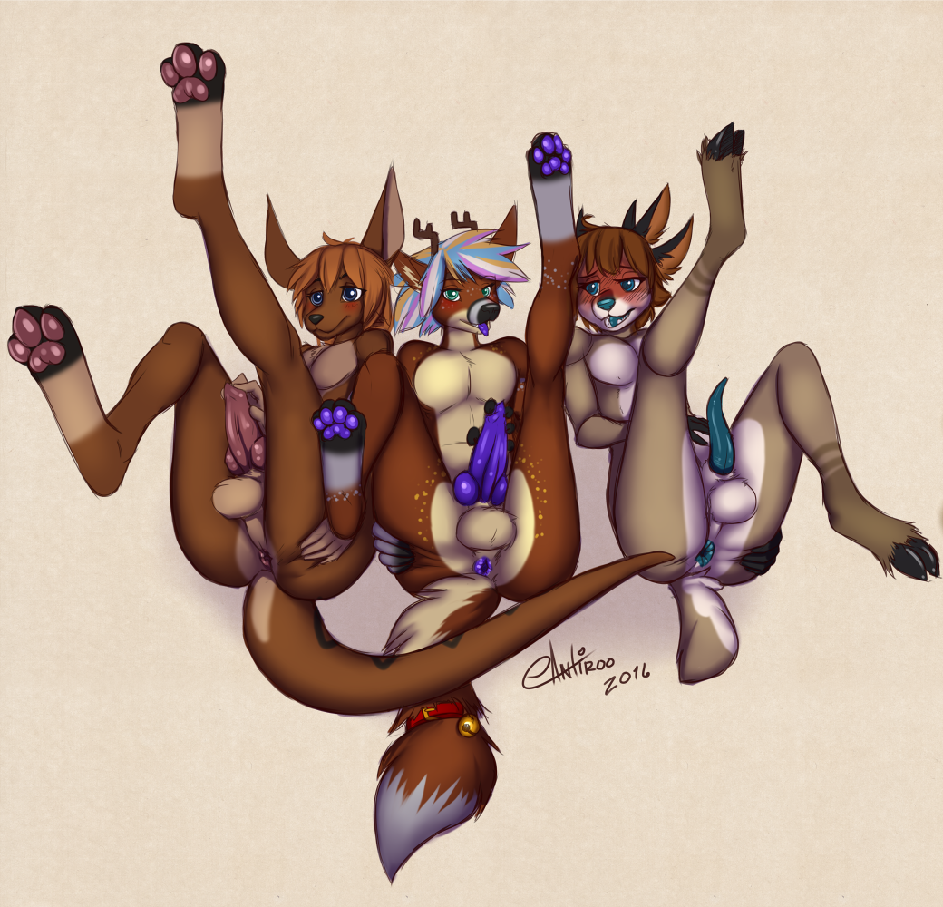 Antiroo Rule 34 Image