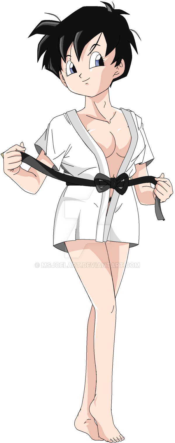 Videl (Dragon Ball) Rule 34 Image