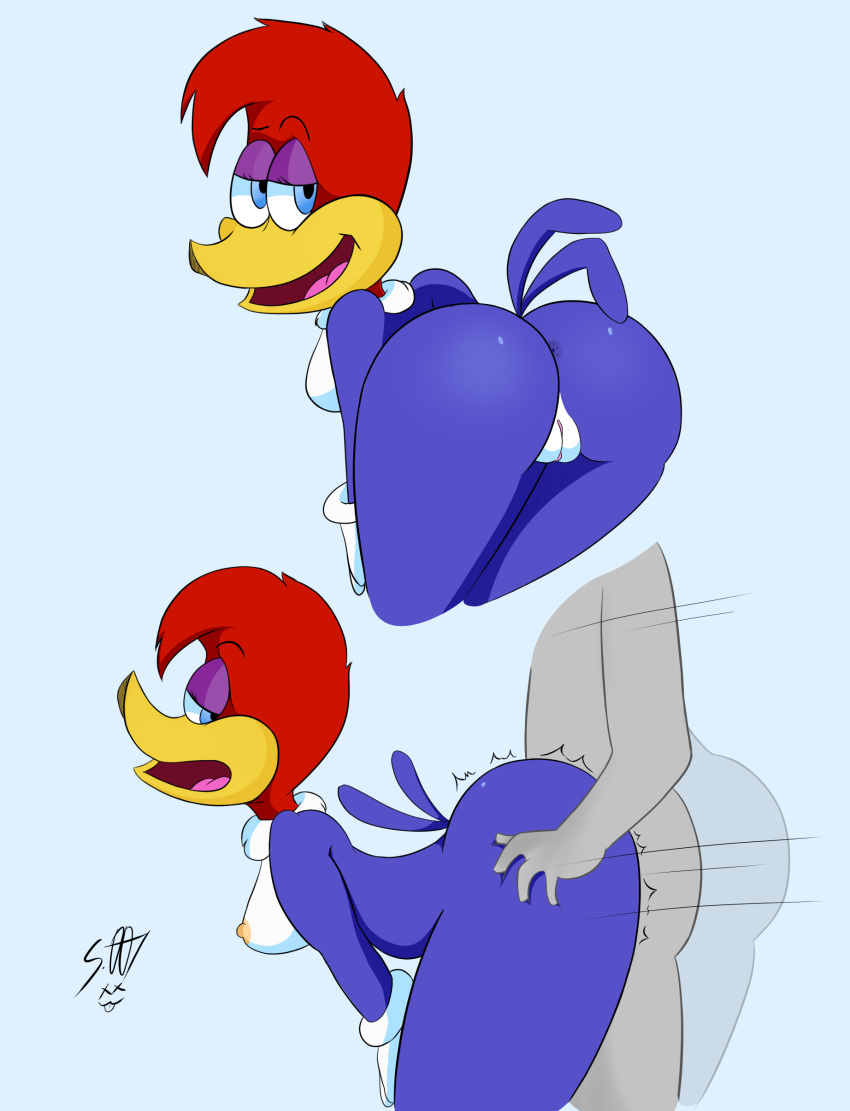 Winnie Woodpecker Rule 34 Image