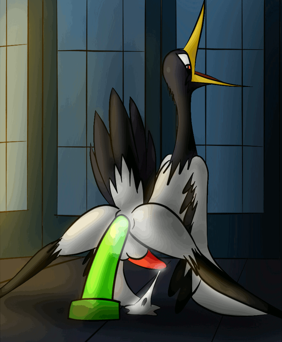 Master Crane (Kung Fu Panda) Rule 34 Image