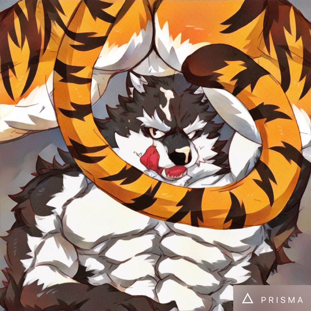 Abs Rule 34 Image