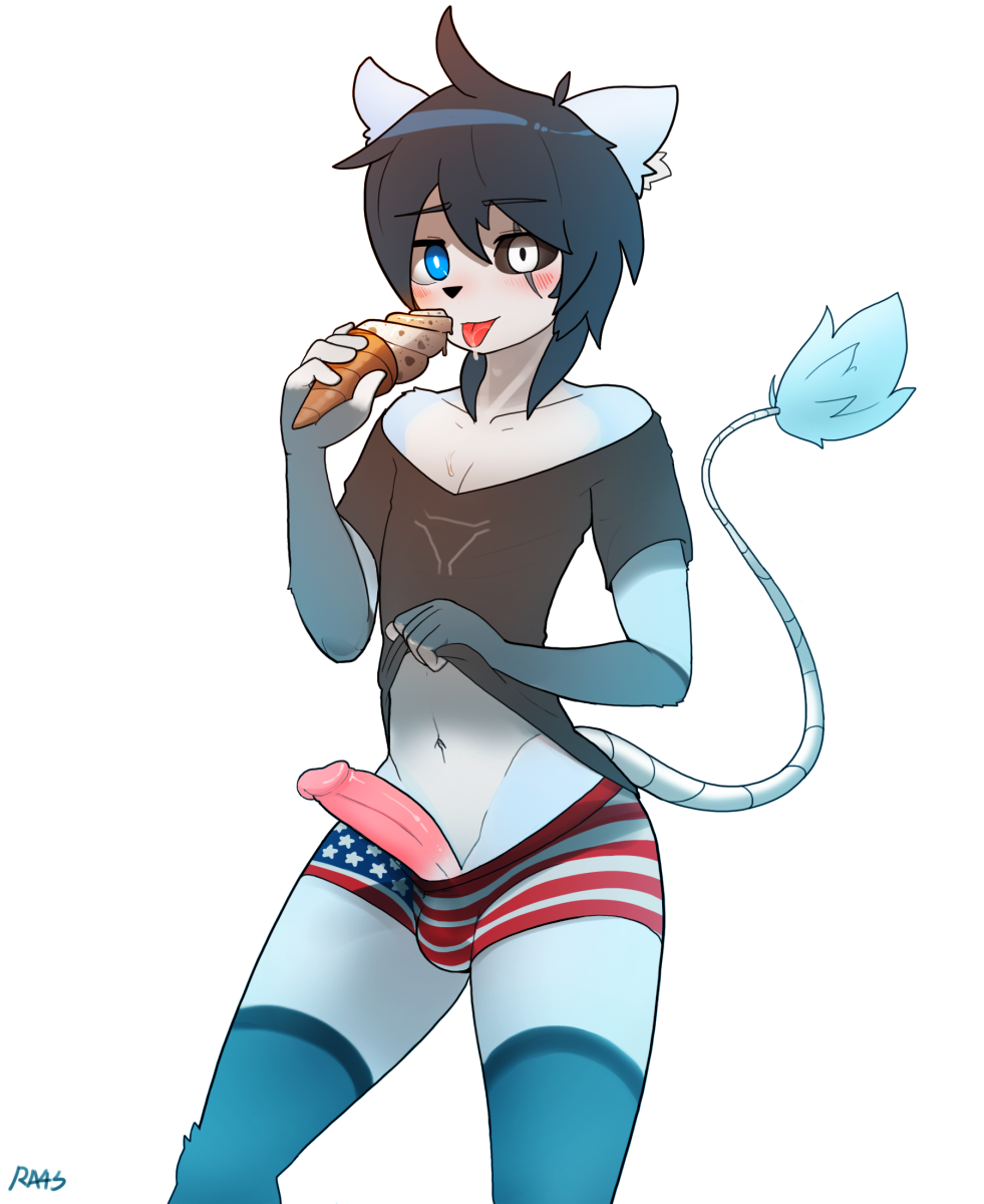 American Flag Rule 34 Image