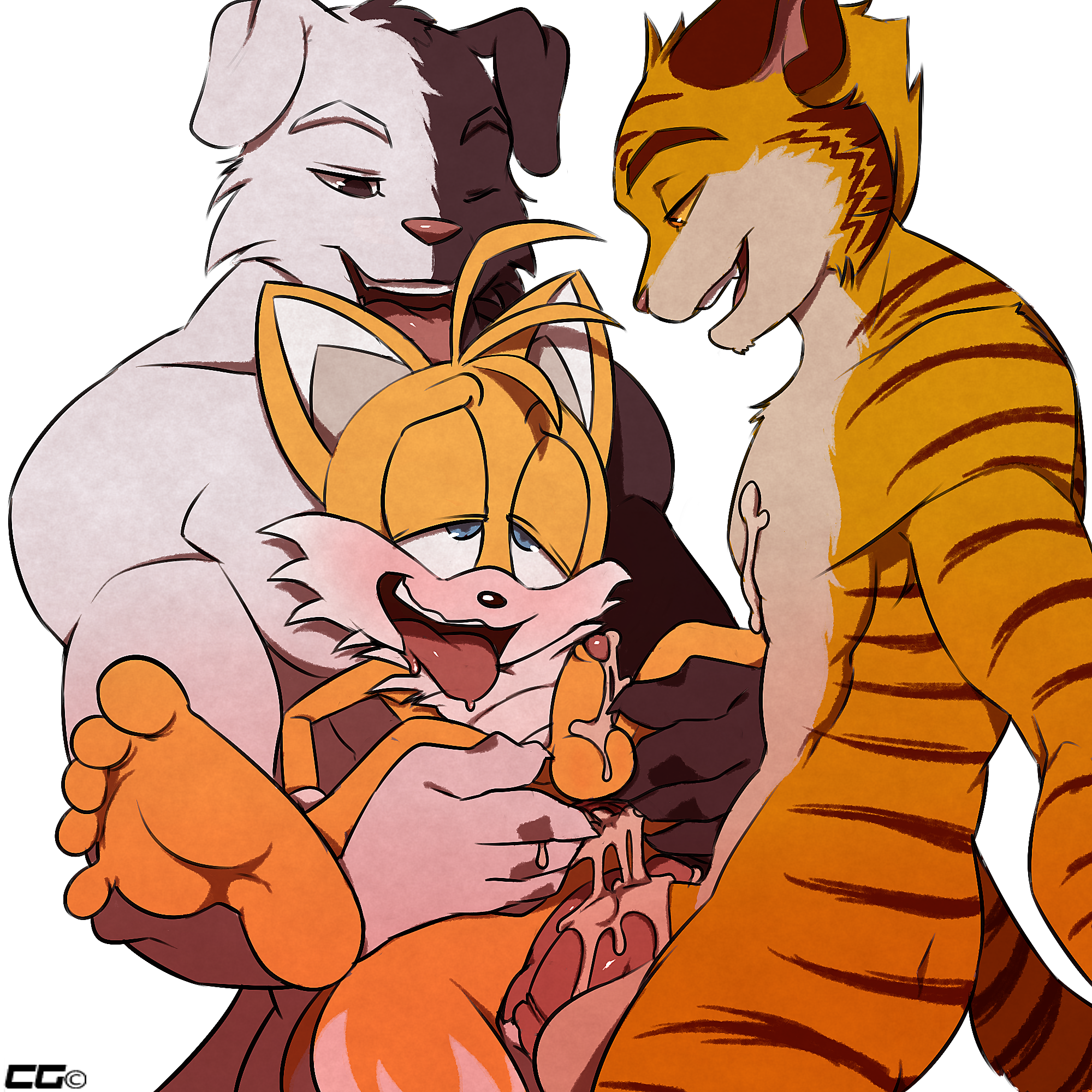 Tails The Fox (Sonic (Series)) Rule 34 Image
