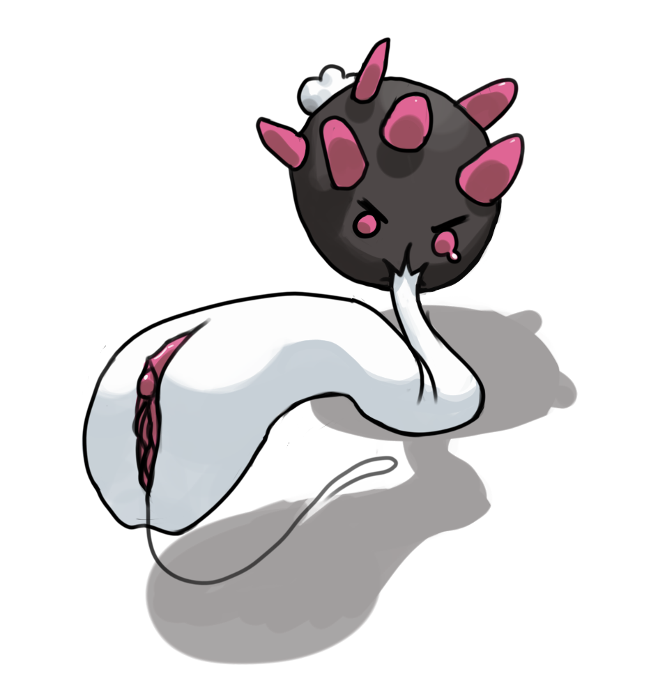 Pyukumuku (Nintendo) Rule 34 Image