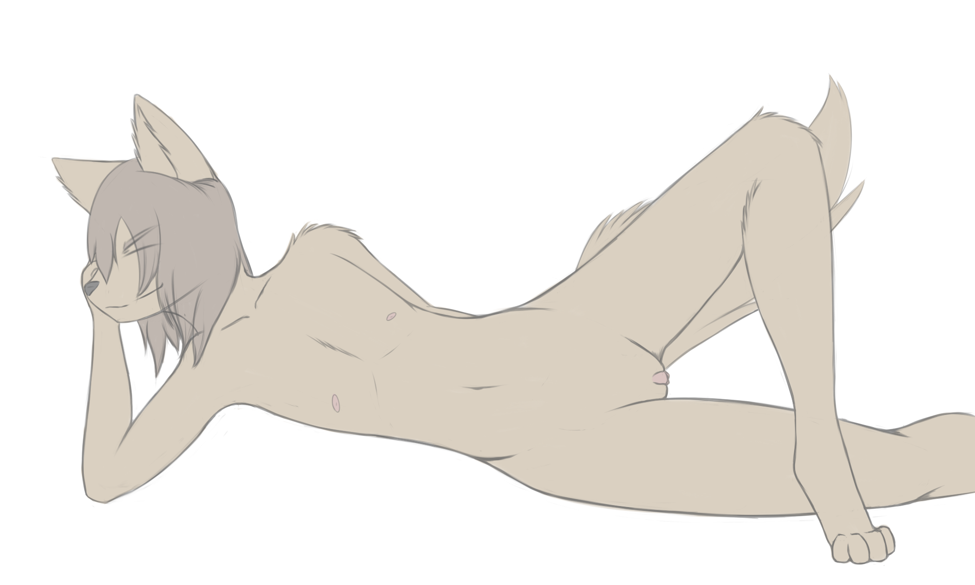 Canine Rule 34 Image