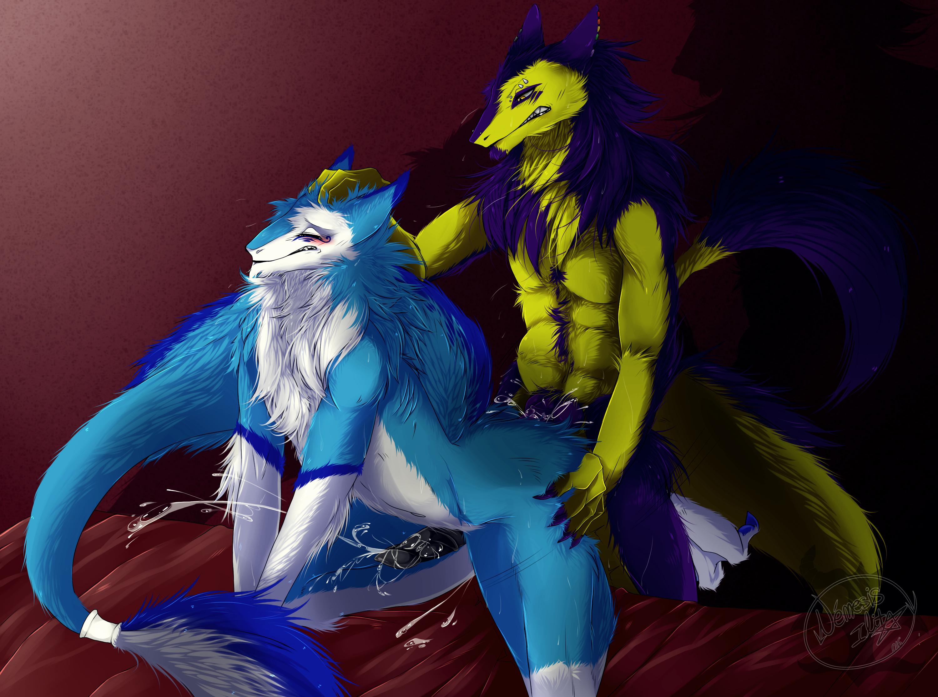 Halley (Zett) Rule 34 Image