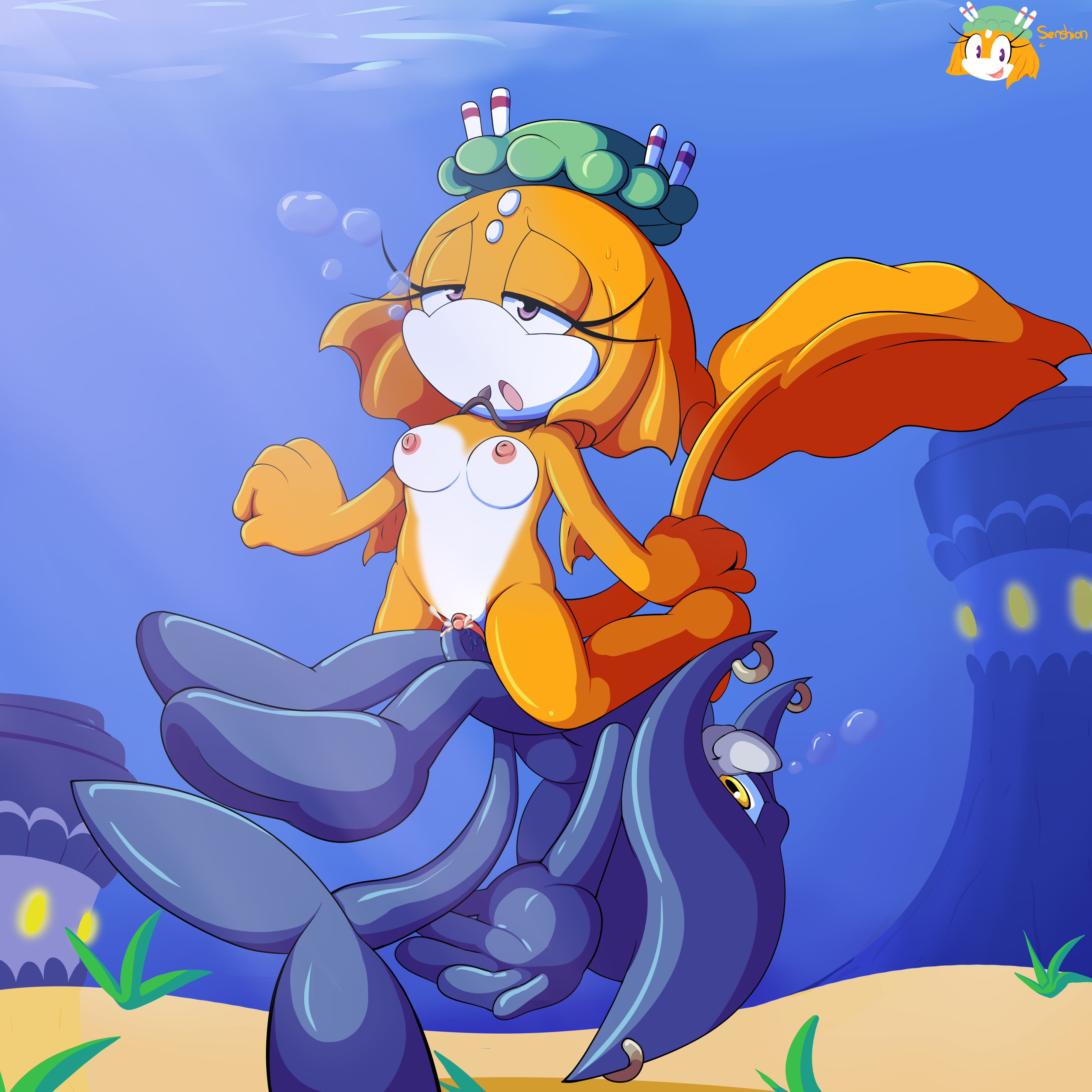 Coral The Betta Rule 34 Image