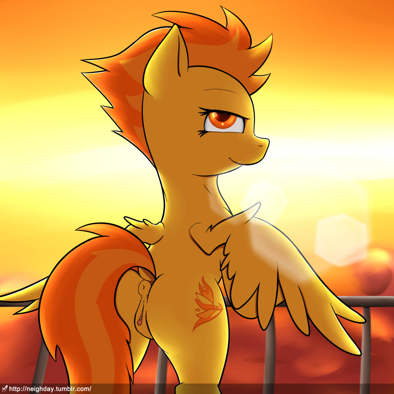 Spitfire (Mlp) Rule 34 Image