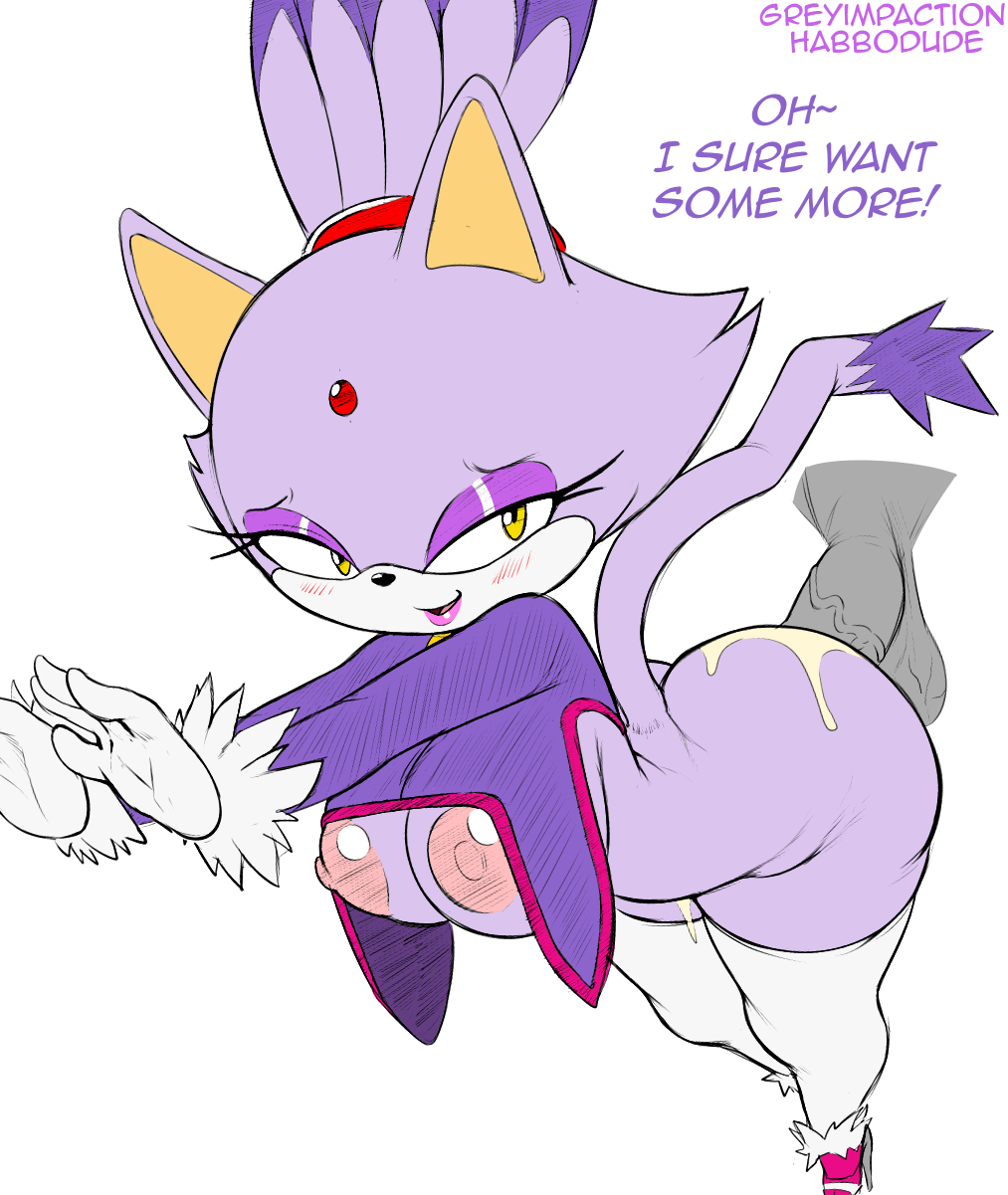 Blaze The Cat (Sonic (Series)) Rule 34 Image