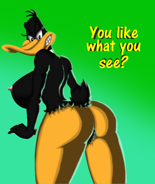 Daffy Duck (Looney Tunes) Rule 34 Image