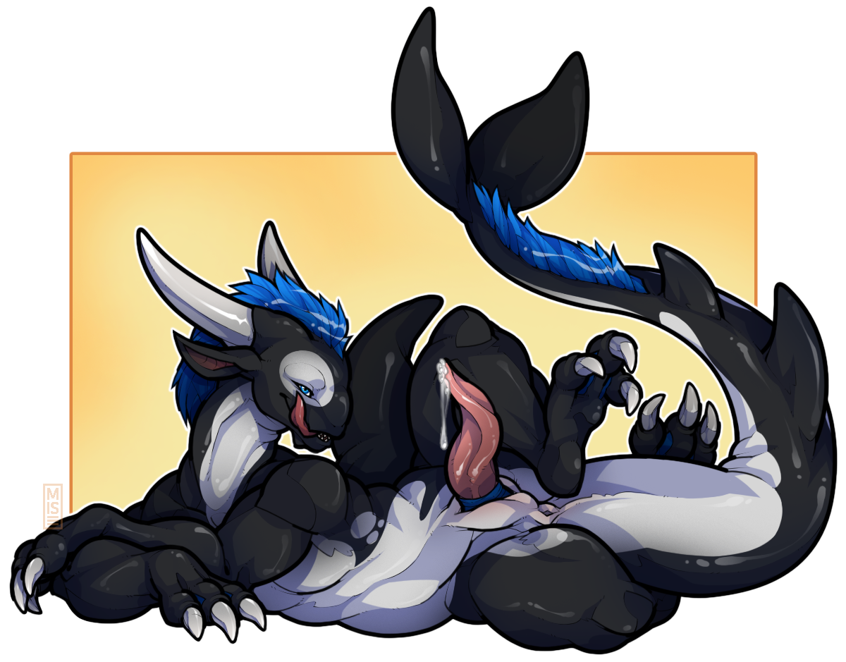 Cetacean Rule 34 Image