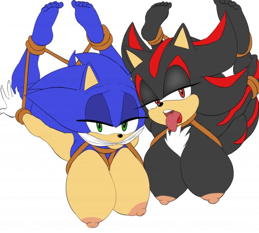 Shadow The Hedgehog (Sega) Rule 34 Image