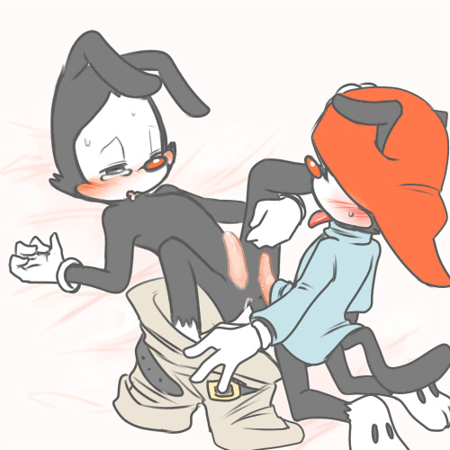 Wakko Warner (Animaniacs) Rule 34 Image