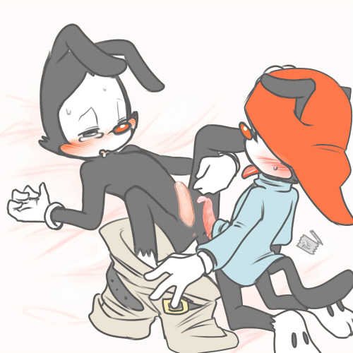 Wakko Warner (Animaniacs) Rule 34 Image