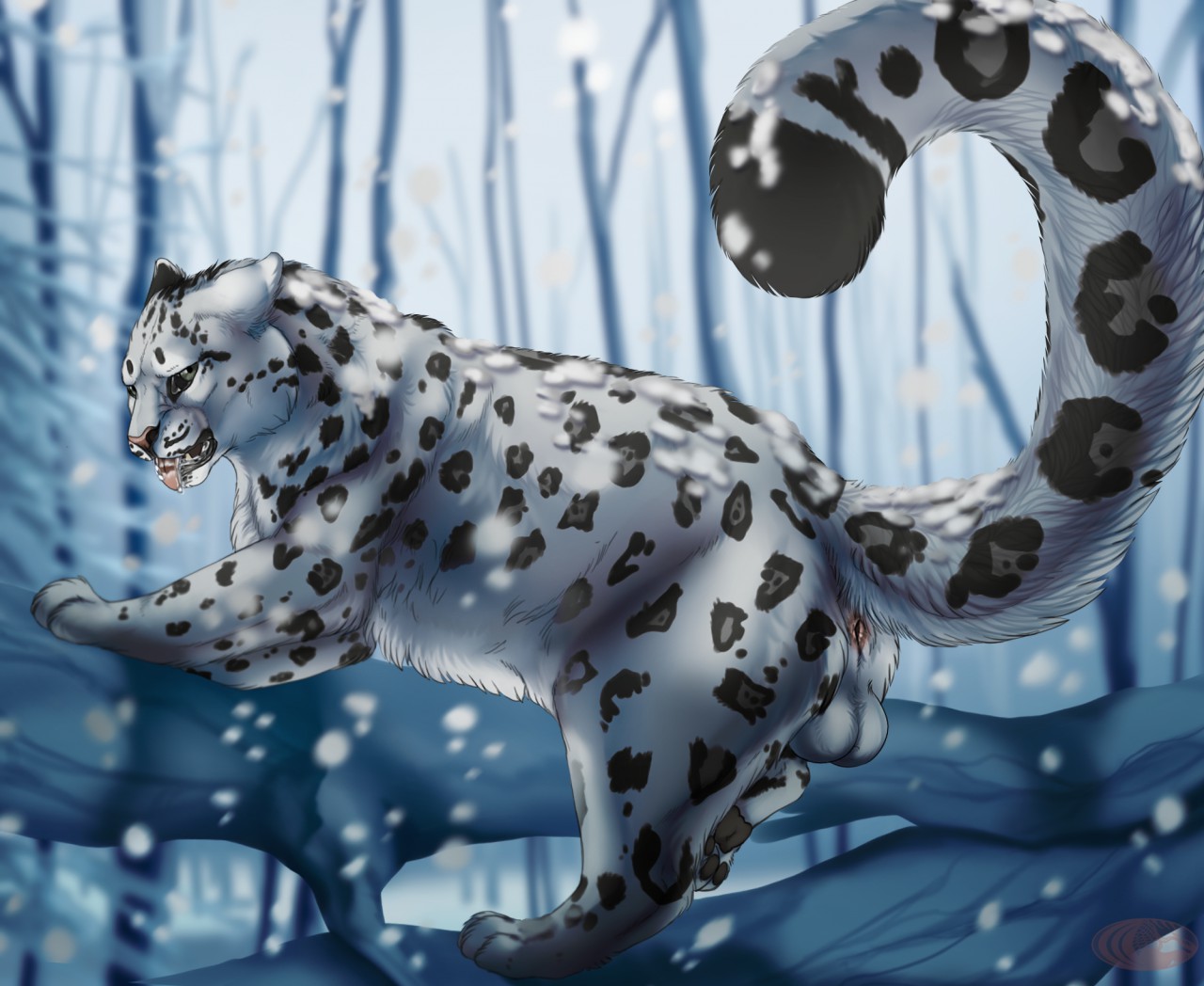 Kieran Rule 34 Image