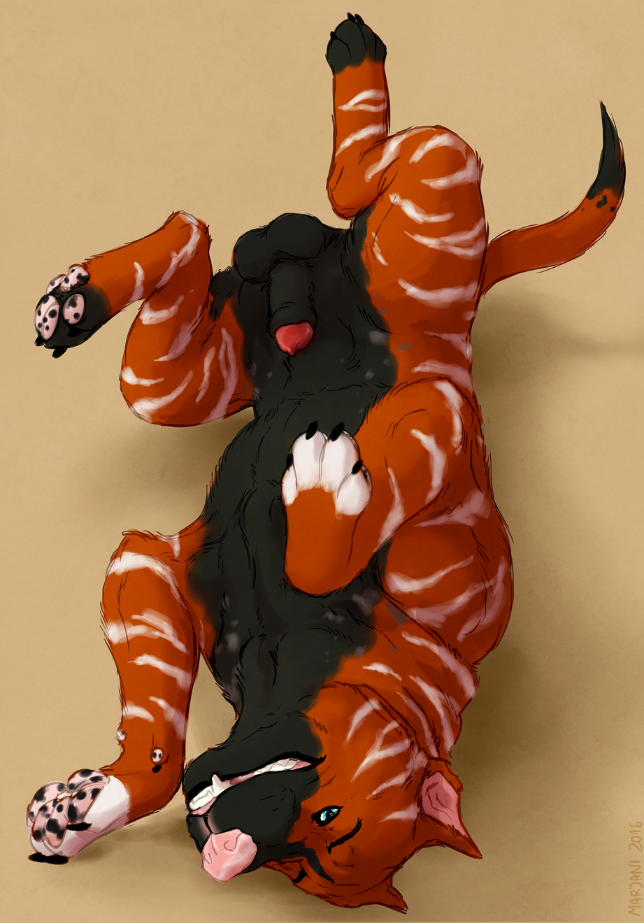 2016 Rule 34 Image