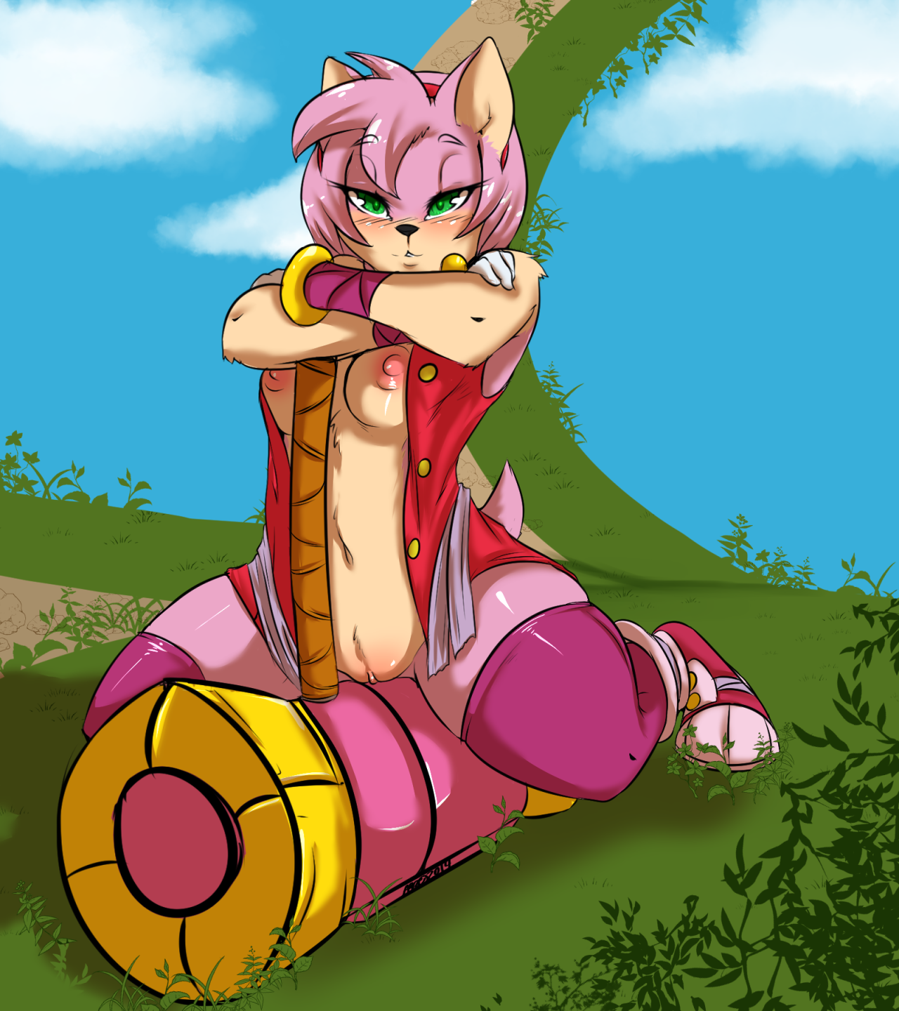 Amy Rose (Sonic (Series)) Rule 34 Image