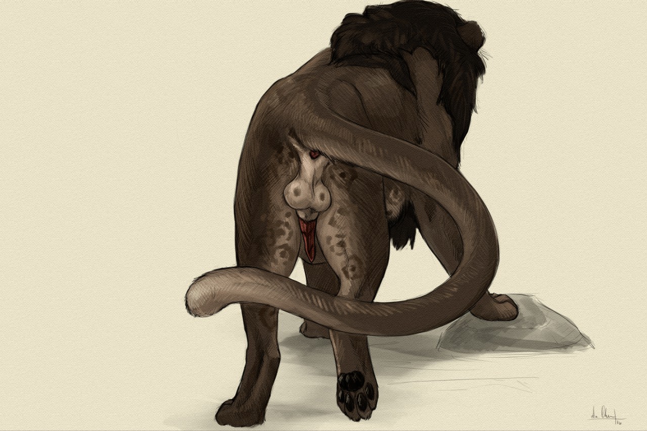 2016 Rule 34 Image